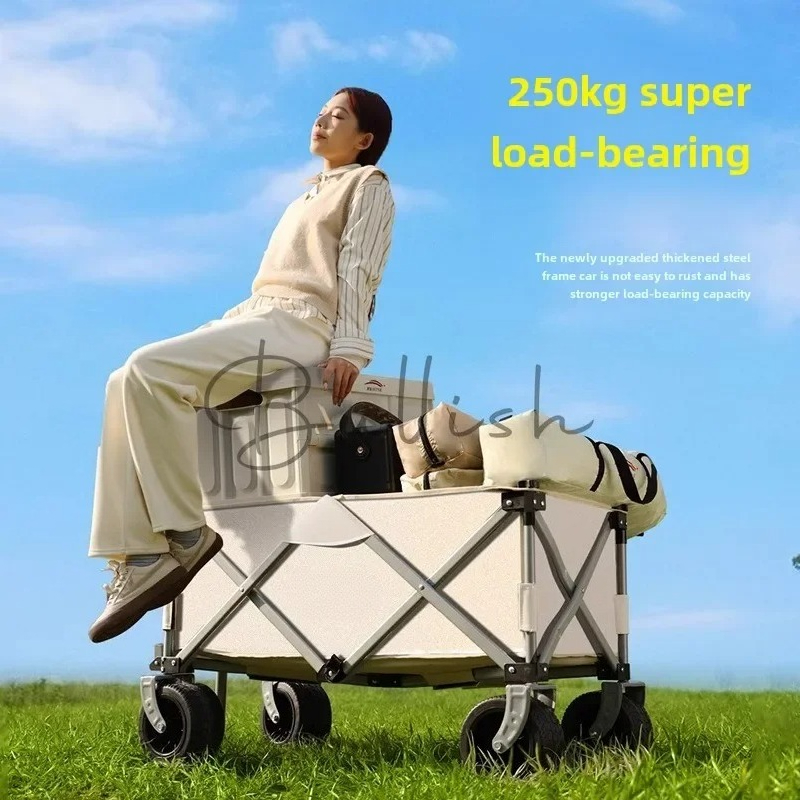 Camping trolley Outdoor foldin - Outdoor Camping Trolley ulasan dan harga