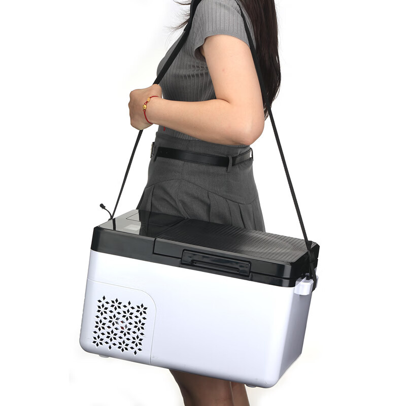 12v-24v/220v Fresh and Frozen  - Outdoor Camping Fridge ulasan dan harga